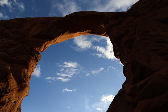 Rutabaobab Arches National Park