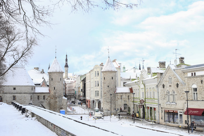 Tallinn Estonia Rutabaobab