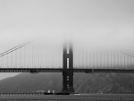 san-francisco-24