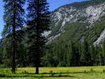 yosemite-national-park-53