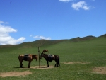 mongolia-19
