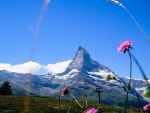 Zermatt - Rutabaobab