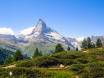 Zermatt - Rutabaobab
