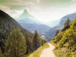 Zermatt - Rutabaobab