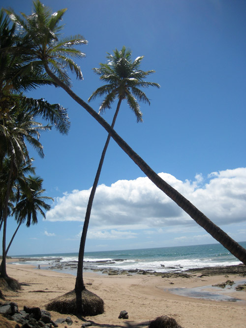 ruta baobab ruta baobab