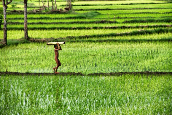 llibre volta al món
